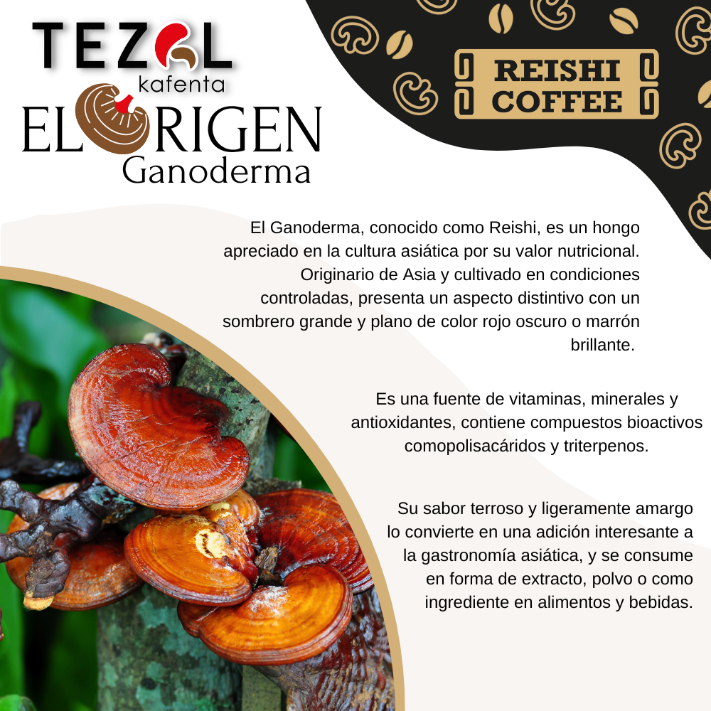Café Adicionado con 5% de Extracto Ganoderma Tezal Kafenta Reishi Coffee