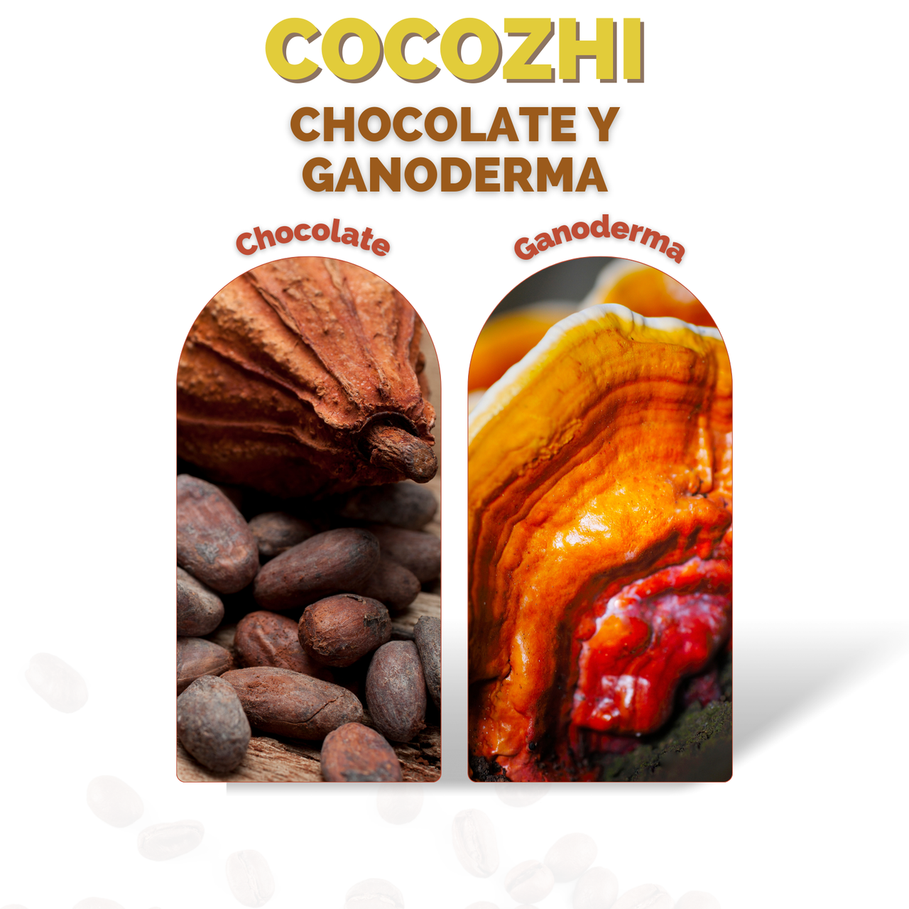 Chocolate Adicionado con Ganoderma Lucidum Cocozhi DXN (25 Sobres)