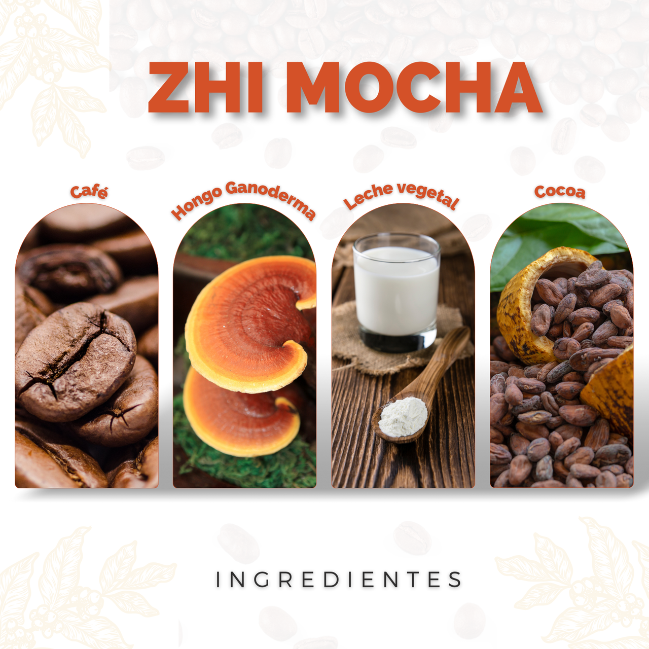 Café con Cocoa Adicionado con Ganoderma Lucidum Zhi Mocha DXN 20 Sobres