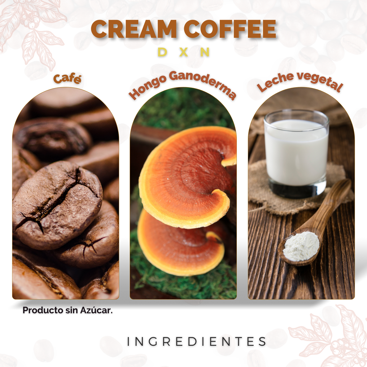 Café Adicionado con Ganoderma Lucidum Cream Coffe DXN (20 sobres)