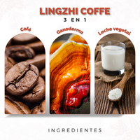 Café Adicionado con Ganoderma Lucidum DXN Lingzhi Coffee 3 en 1 (20 Sobres)