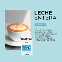 Pack X12 Leche Entera Barista Bové 946ml