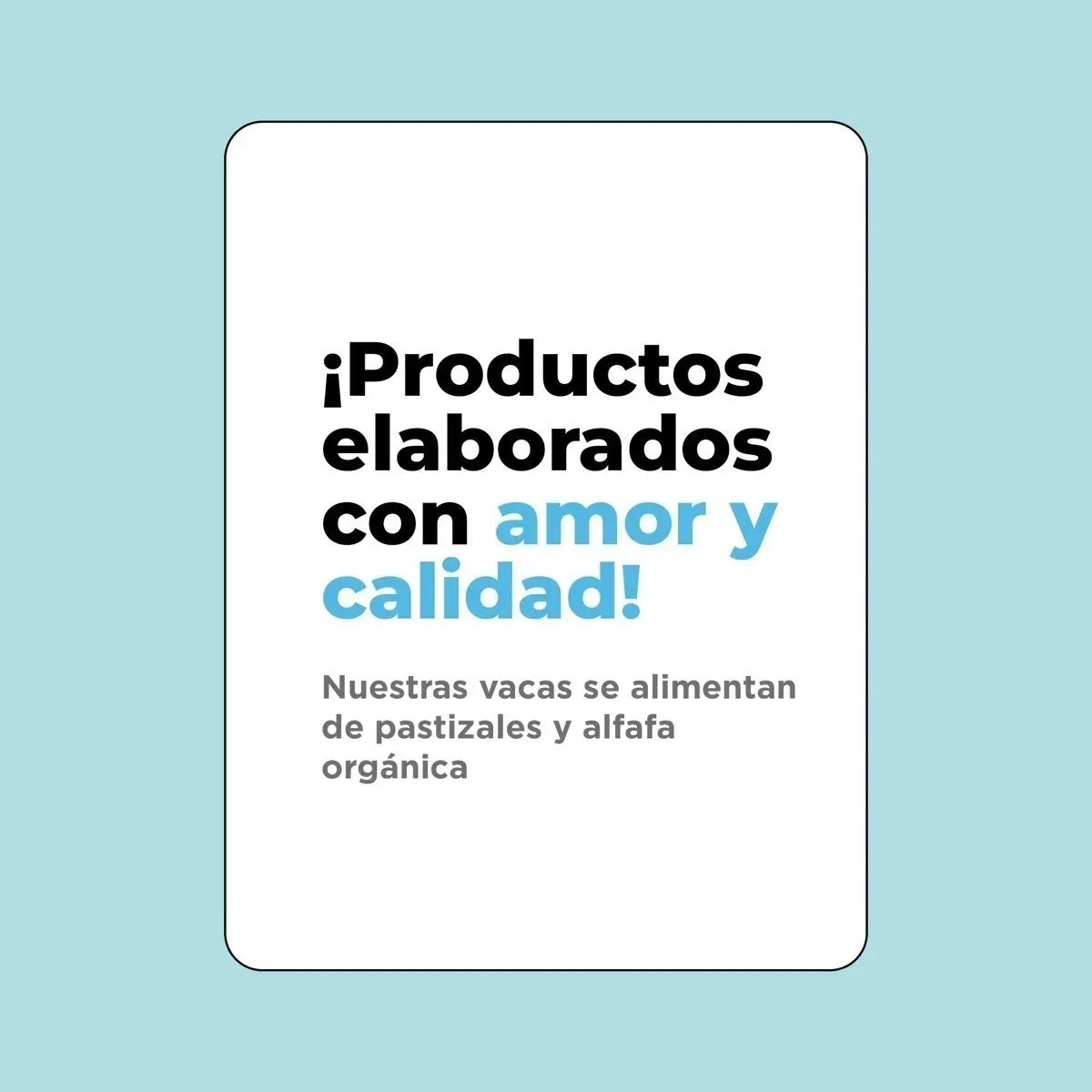 Pack X12 Leche Entera Barista Bové 946ml