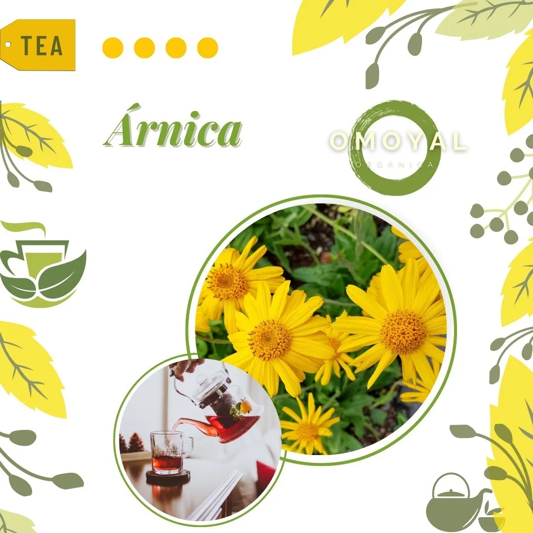 Té de Arnica (25 Sobres) Therbal/ Infusión