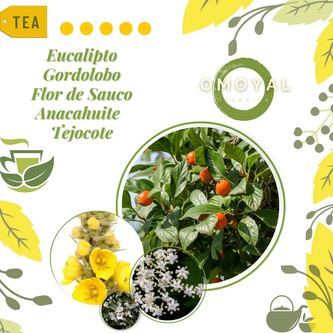 Té de Abango Therbal (36 Sobres) | Infusión Herbal Reconfortante