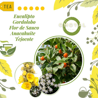 Té de Abango Therbal (36 Sobres) | Infusión Herbal Reconfortante
