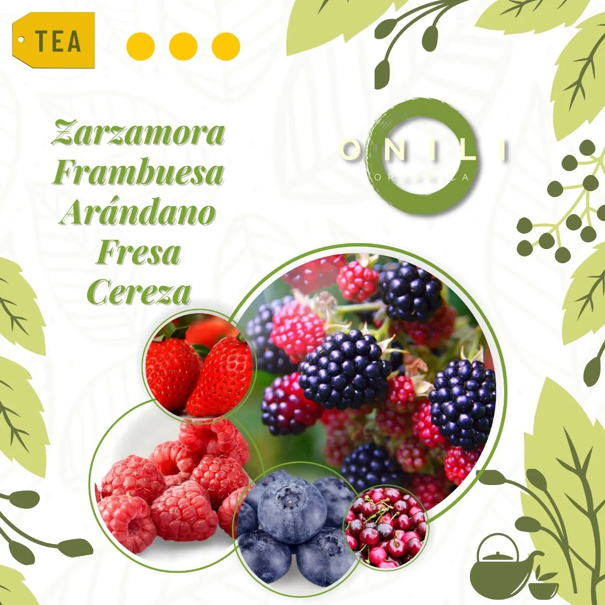 Té de Frutos Rojos GN+ Vida | Deliciosa Infusión Frutal para tu Bienestar