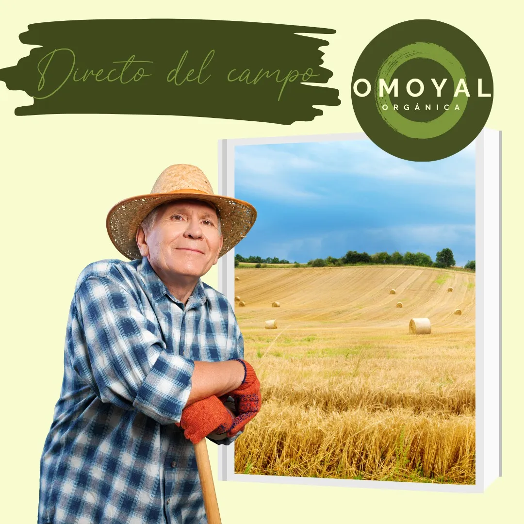 Salvado De Trigo GN+ Vida (1 kg) | Complemento Natural para tus Licuados y Cereales