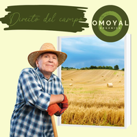 Salvado De Trigo GN+ Vida (1 kg) | Complemento Natural para tus Licuados y Cereales